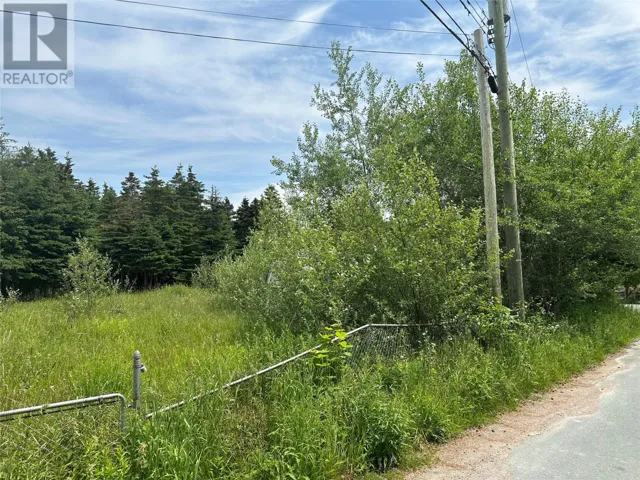 16 Ridge Road, Holyrood, Newfoundland & Labrador A0A2R0