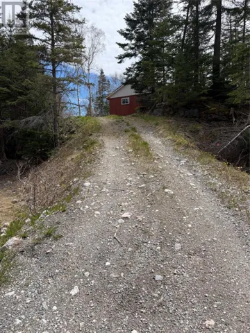 26 Pinchgut Road, Pinchgut Lake, Newfoundland & Labrador A2H2E0