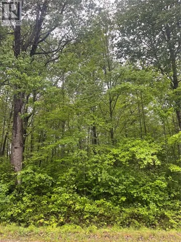 N/A BAGGS Road, Chalk River, Ontario K0J1J0