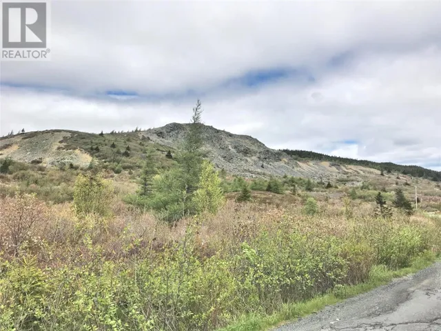 3-49 Northern Cove Pond Road, Spaniards Bay, Newfoundland & Labrador A0A3X0