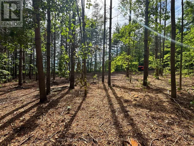 PT LT 11 CON 7 RANCHERS ROAD, Kawartha Lakes (Fenelon), Ontario K0M1G0