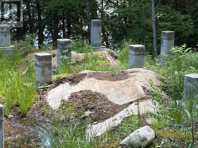 780