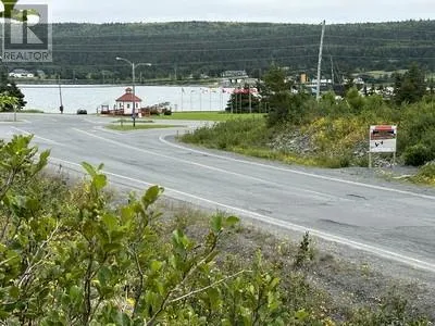 490A Harvey Street, Harbour Grace, Newfoundland & Labrador A0A2M0