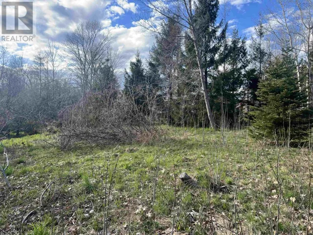 Lot 2-1-B Seaview Cemetary Road, Bay View, Nova Scotia B0K1H0
