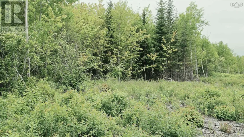 Lot Linwood Harbour Rd East Tracadie, NS, East Tracadie, Nova Scotia B0H1M0