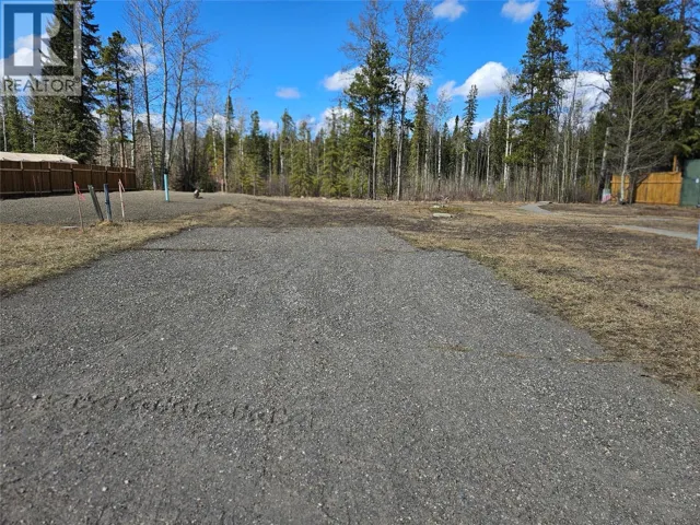 175 Steeprock Close, Tumbler Ridge, British Columbia V0C2W0