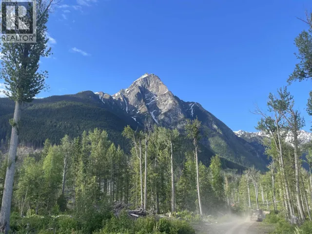 DL 890 PUGSLEY STREET, New Hazelton, British Columbia V0J2J0