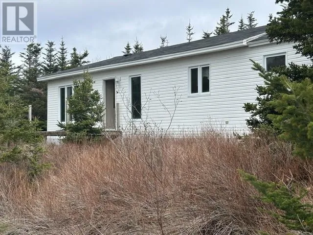 35-37 Brook Road, New Perlican, Newfoundland & Labrador A0B2G0