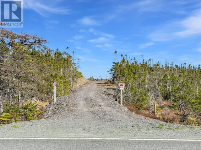 556 Salmonier Line, Salmonier, Newfoundland & Labrador A0A2R0