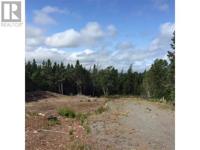 118B MAIN Road, BELLEVUE, Newfoundland & Labrador A0B1B0