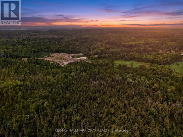 6685 COUNTY RD 21, Essa, Ontario L9R1V2