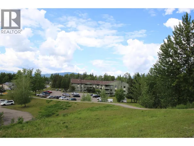 185 CHAMBERLAIN Crescent Unit# 310, Tumbler Ridge, British Columbia V0C2W0
