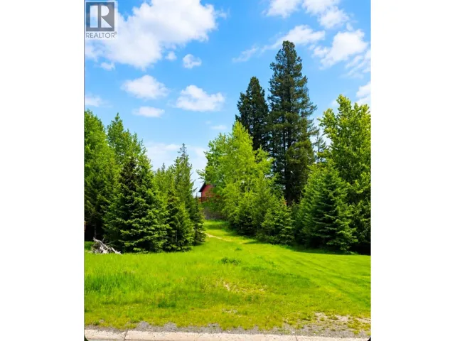 16 Cassiar Drive, Elkford, British Columbia V0B1H0