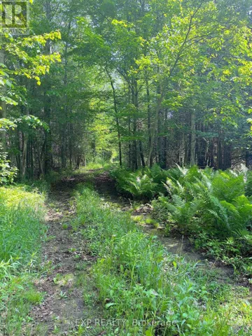 00 JOHNSTON ROAD, Horton, Ontario K7V3Z8