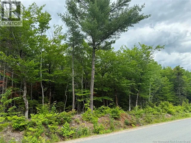Lot 3 Hansen Road, Miramichi, New Brunswick E1V3M2