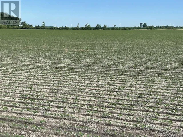LT 26&27 THIRD CONCESSION LINE, Chatham-Kent (Romney), Ontario N0P2P0