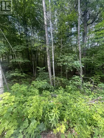 0 POND ROAD, Tay Valley, Ontario K0H2B0