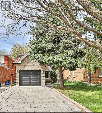 BASEMENT - 11 NEWMILL CRESCENT, Richmond Hill (Devonsleigh), Ontario L4C9T7
