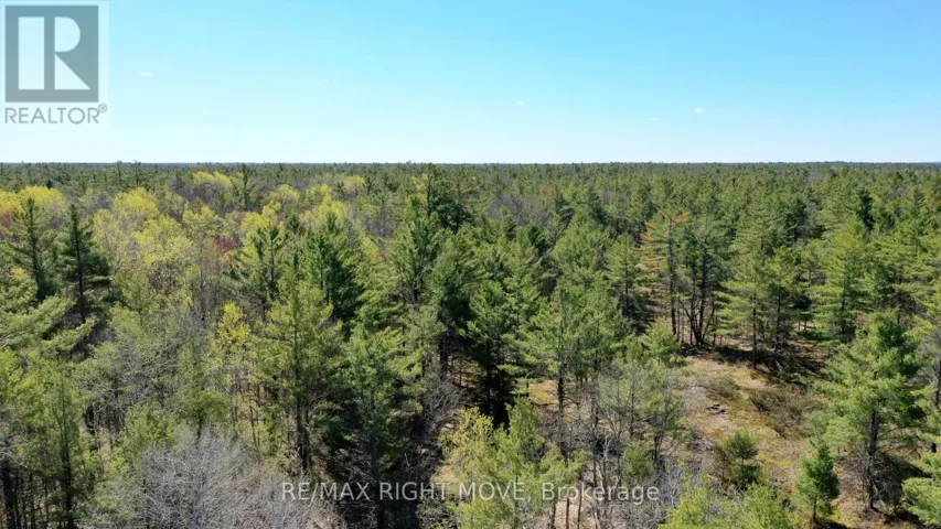 2503 SOUTHWOOD ROAD, Gravenhurst (Morrison), Ontario P0E1G0