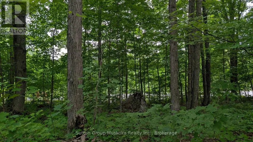 837 ASPDIN ROAD, Huntsville (Chaffey), Ontario P1H0H2