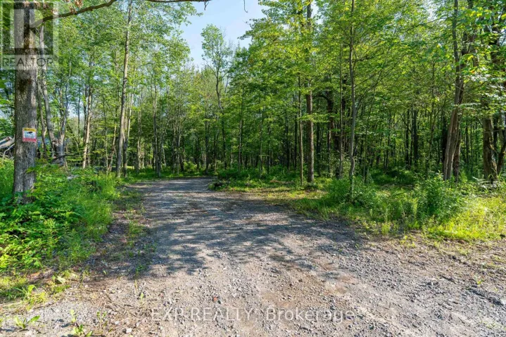 LOT 20 CONCESSION 4 ROAD, Alfred and Plantagenet, Ontario K0B1L0