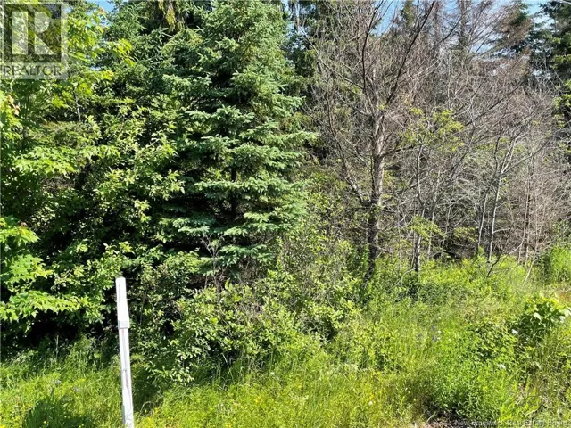 Lot 1 Communication Road, Irishtown, New Brunswick E1H2G5