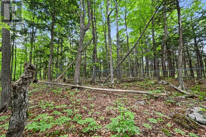 634 CONCESSION 5A DALHOUSIE, Lanark Highlands, Ontario K0G1K0