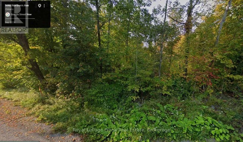 0 NORTHERN AVENUE, Trent Lakes, Ontario K0M1A0