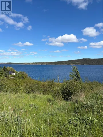 118 Corporal Jamie Murphy Drive, Conception Harbour, Newfoundland & Labrador A0A1Z0