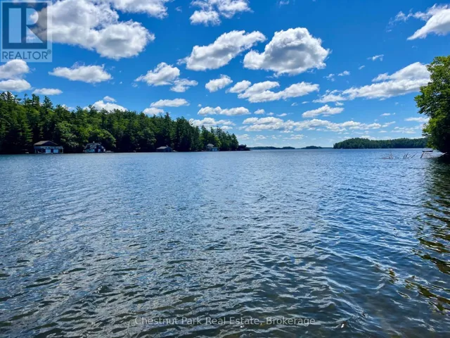 10 - 1211 FOREMAN ROAD S, Muskoka Lakes (Medora), Ontario P0B1J0