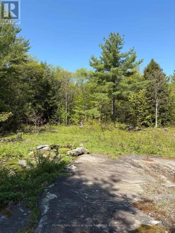 175 NORTH SANDY PLAINS ROAD, Seguin, Ontario P2A2W8