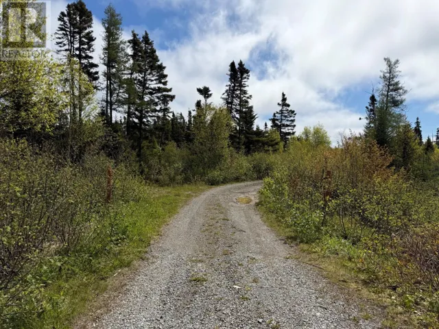 0 Main Street, Dog Bay, Newfoundland & Labrador A0G3R0
