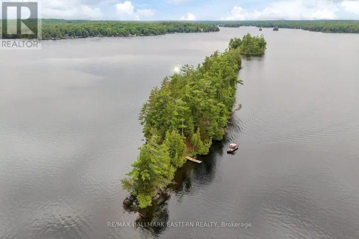 281 STRING ISLAND S, Havelock-Belmont-Methuen, Ontario K0L1Z0