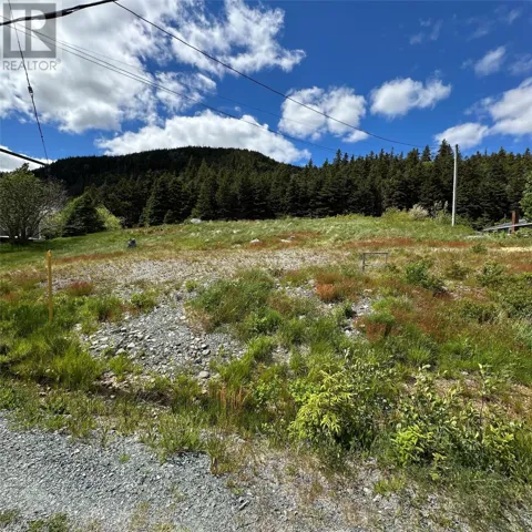 286-290 Main Street, Clarke's Beach, Newfoundland & Labrador A0A1W0