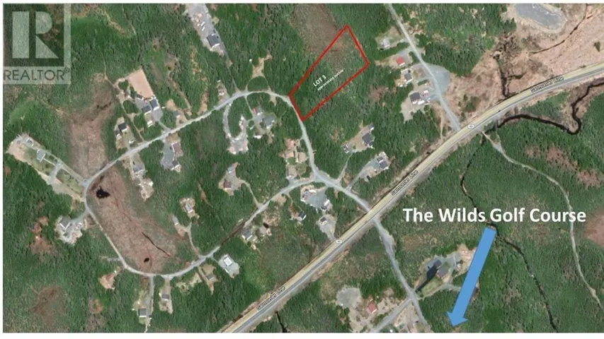 Lot 3 Fraser Sub-Division, Forest Field Area /Salmonier Line, Newfoundland & Labrador A0A2R0