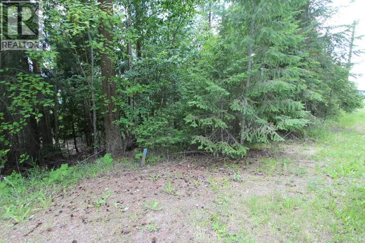 Vickers Trail Trail Lot# 1, Anglemont, British Columbia V0E1M8