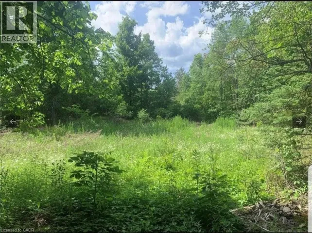 LOT 12 SUTER Drive, Kawartha Lakes, Ontario K0M1B0
