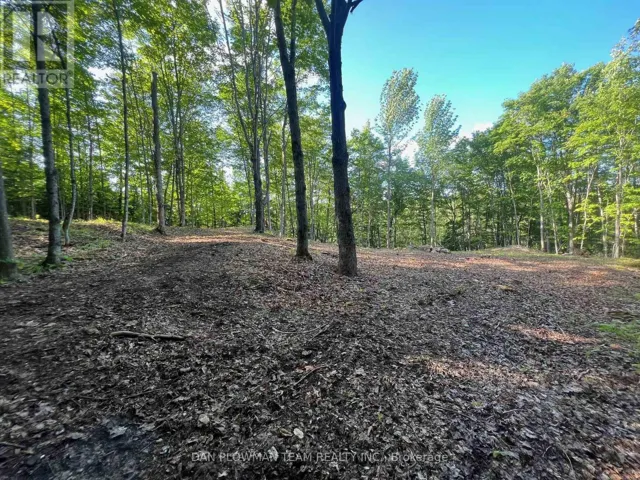 678 CENTREVIEW ROAD, Hastings Highlands (Bangor Ward), Ontario K0J1L0