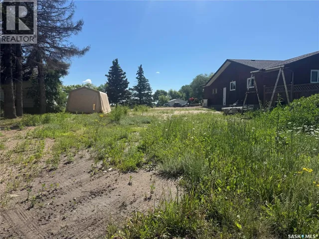 325 Arthur STREET, Cut Knife, Saskatchewan S0M0N0