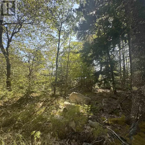 (PID 70241864) Wellington Road, Buckfield, Nova Scotia B0T1E0