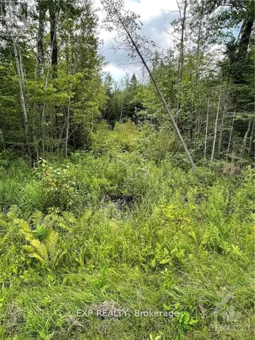 00 A1 CONCESSION ROAD 4 ROAD, Alfred and Plantagenet, Ontario K0B1L0