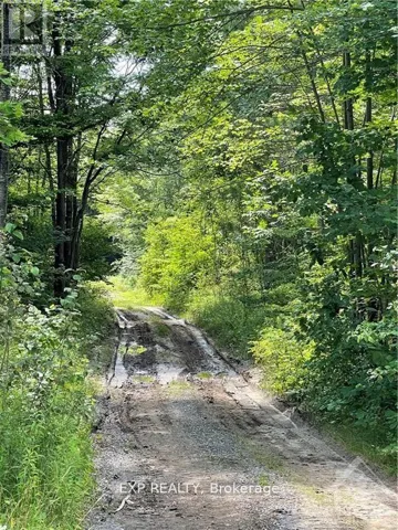 00 B CONCESSION ROAD 4 ROAD, Alfred and Plantagenet, Ontario K0B1L0