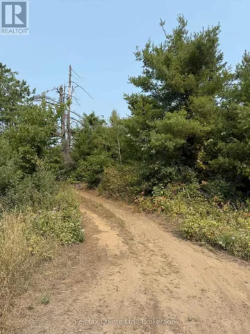 0 POTTER SETTLEMENT ROAD, Tweed (Hungerford (Twp)), Ontario K0K3J0