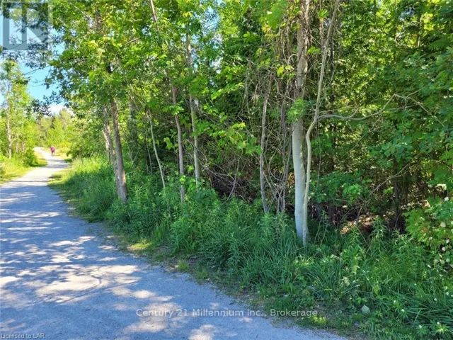 11325 26 HIGHWAY, Collingwood, Ontario L9Y5E2