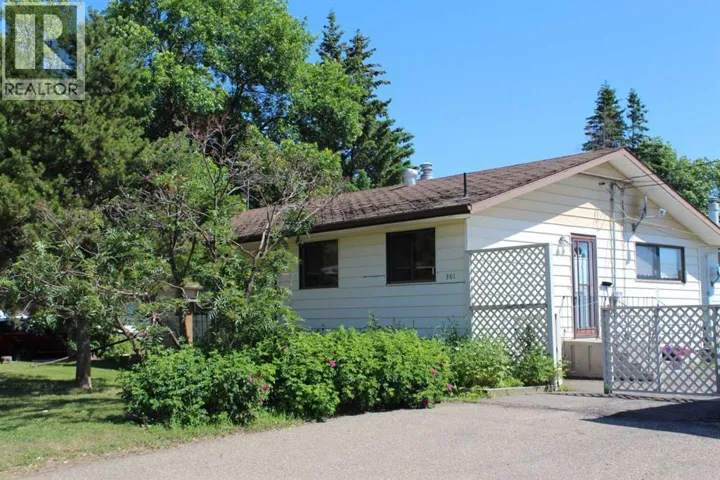 310 2nd Street SW, Manning, Alberta T0H2M0