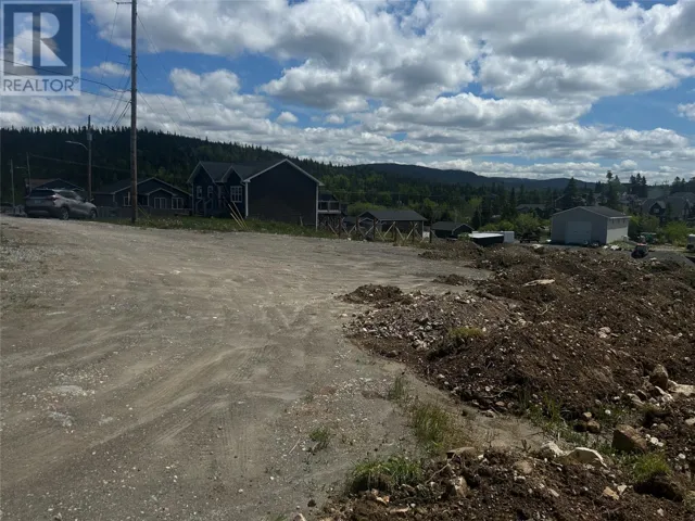 3 Samuel Crescent, Massey Drive, Newfoundland & Labrador A2H0G8