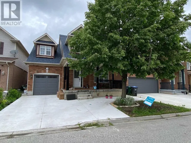 BASEMENT - 29 MARSHMARIGOLD DRIVE, Brampton (Fletcher's Meadow), Ontario L7A2S7