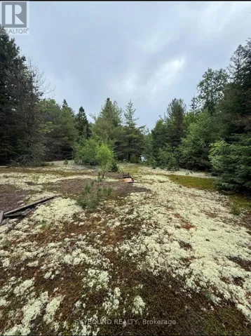 92 MCALPINE ROAD, Hastings Highlands (Monteagle Ward), Ontario K0L2S0