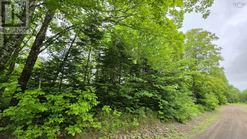 Ohio East Side Road, Antigonish, Nova Scotia B2G2K8