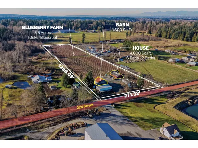 2157 224 STREET, Langley, British Columbia V2Z2Z2